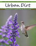 March/April 2026 Urban Dirt Newsletter