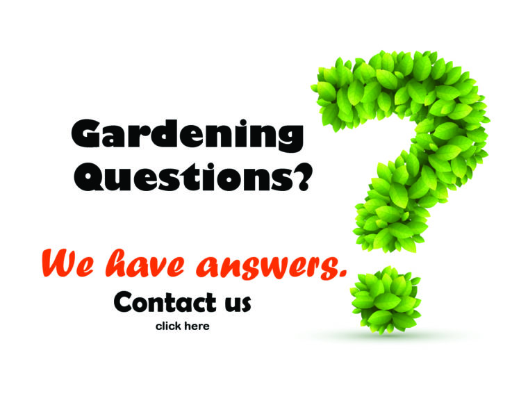 Gardening Questions click here v2