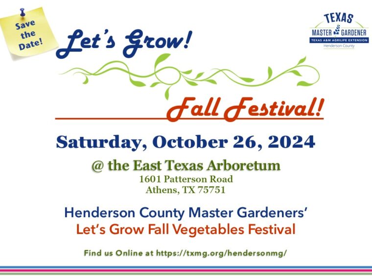 Lets Grow Fall Fest 2024 – StD Graphic