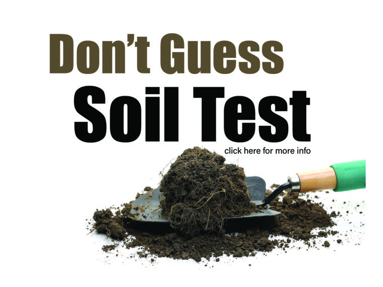 Soil Test white click here