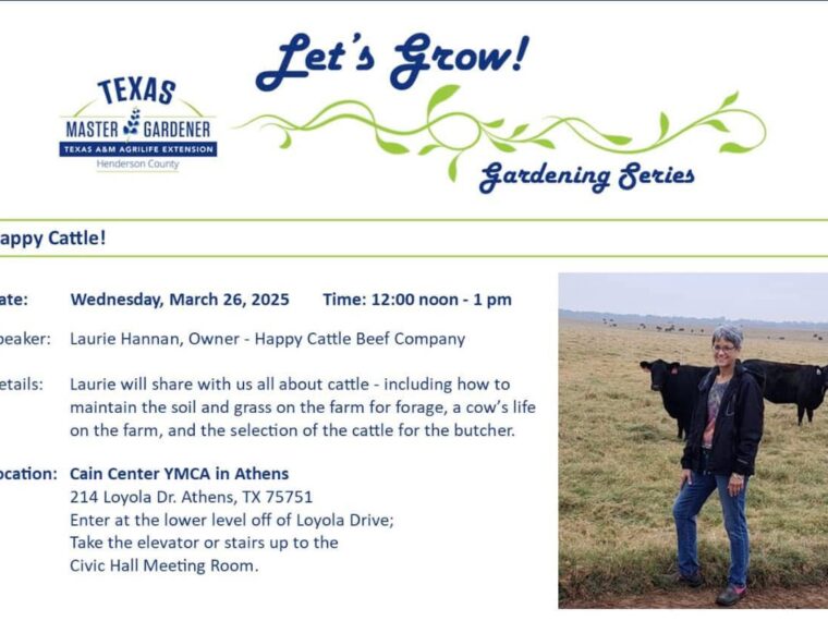 lets grow 3-26-25 happy cattle