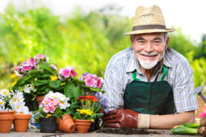 Man with beard in straw hat, apron and gardening gloves at a potting bench