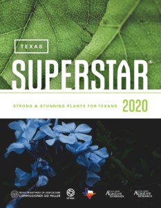 Texas Superstar® brochure