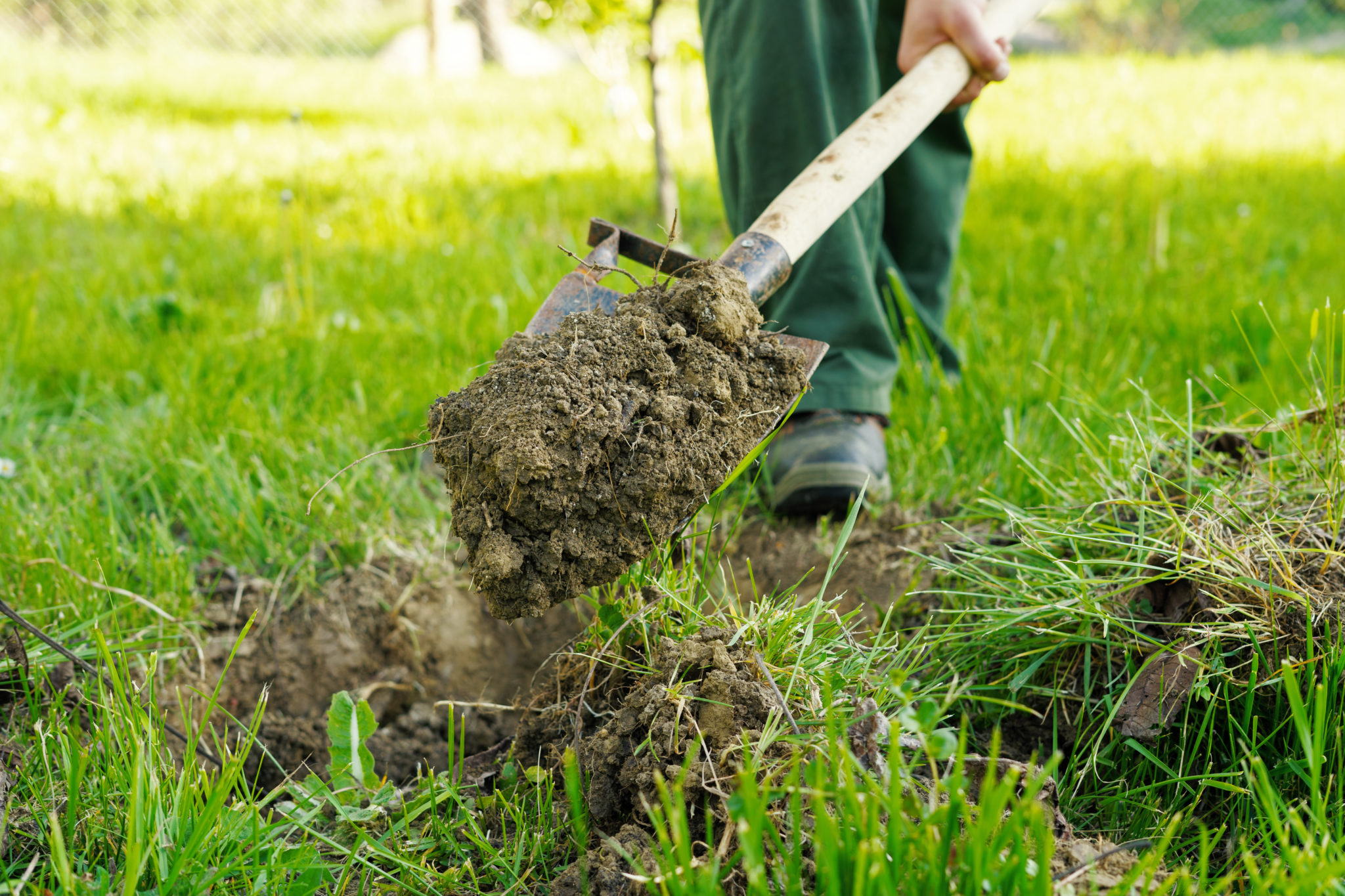 Soil Testing - Henderson County Master Gardener Association