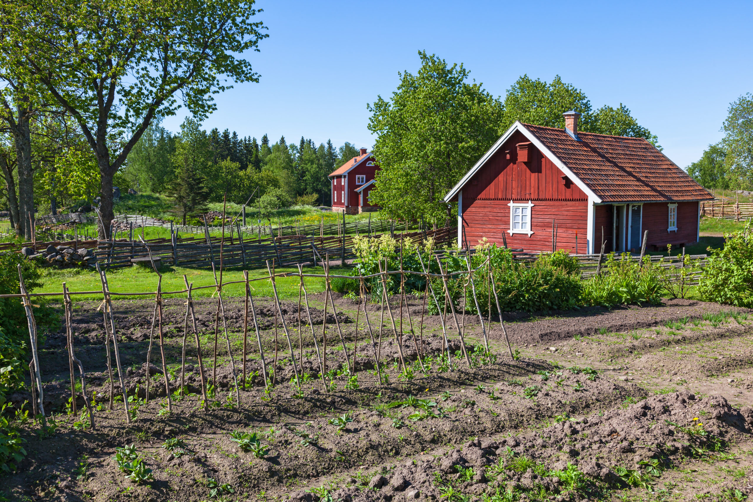 Vegetable,Garden,With,Country,House