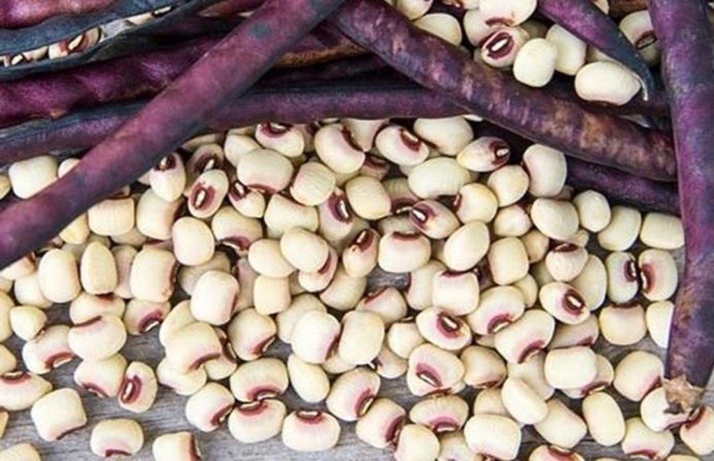 Top Pick Pinkeye Peas