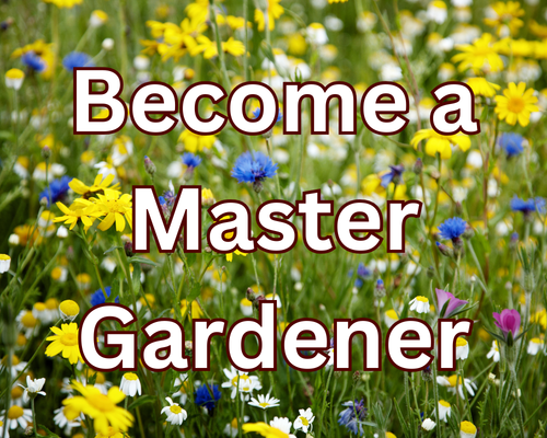 Become a master gardener