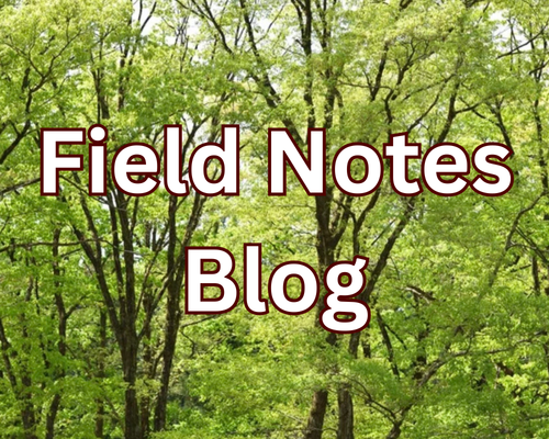 Field notes blog