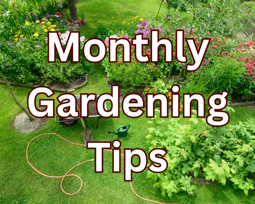 Gardening tips 
