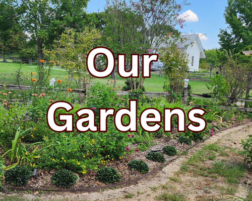 Our gardens