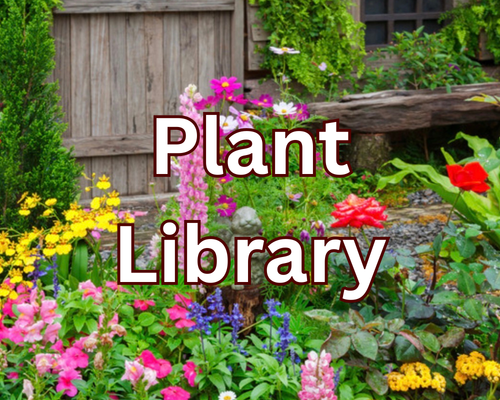 Plant library