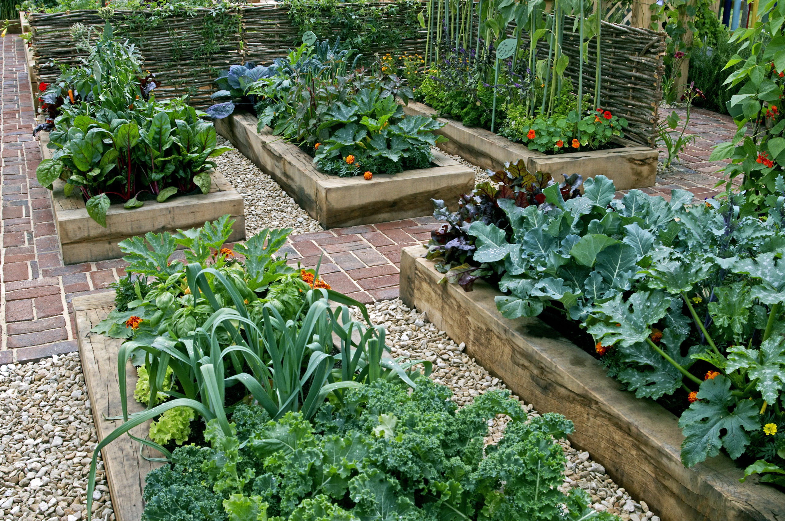 Childrens’,Edible,Vegetable,Garden