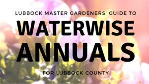 waterwise annuals