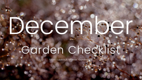 December Garden Checklist