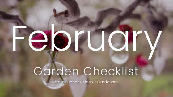 February Garden Checklist