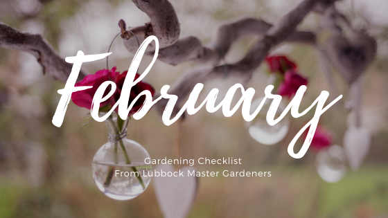 february gardening checklist
