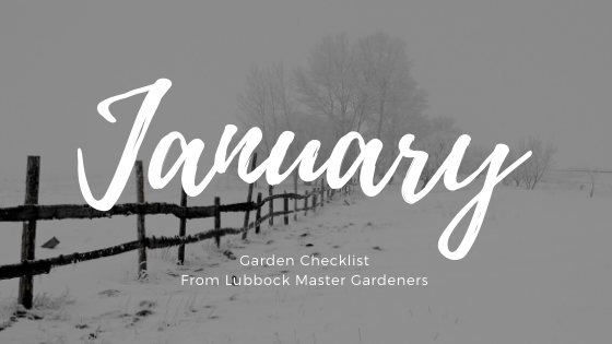 january garden checklist