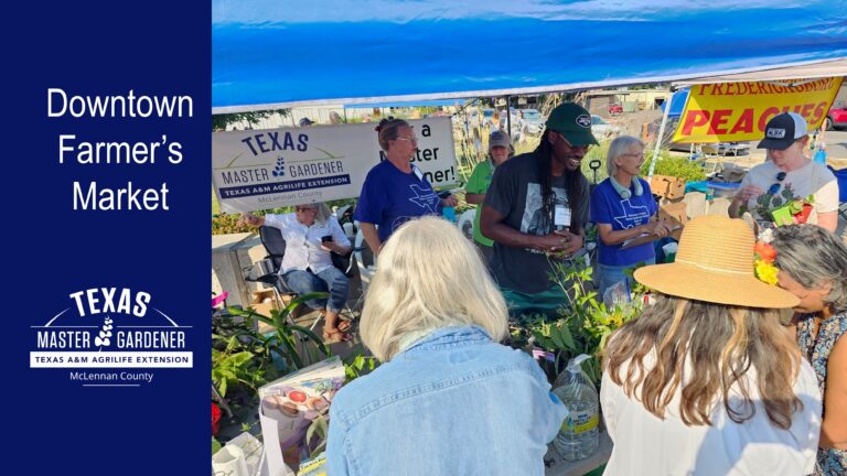 Master Gardeners at the Waco Farmers Market