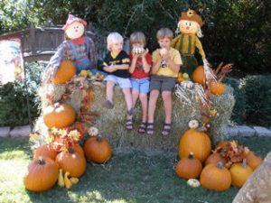 pumpkins and kids