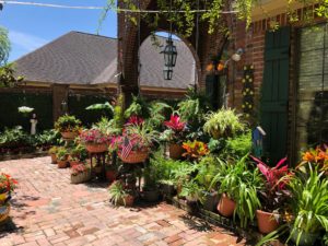 Orange County Master Gardeners Garden Tour