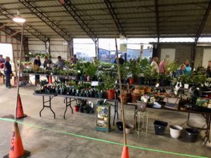 Orange County Master Gardeners Plant Sale