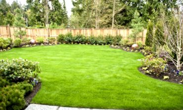 Landscaped backyard with grass
