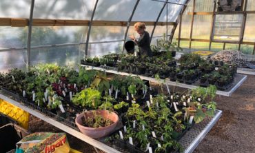 Orange County Master Gardeners Projects