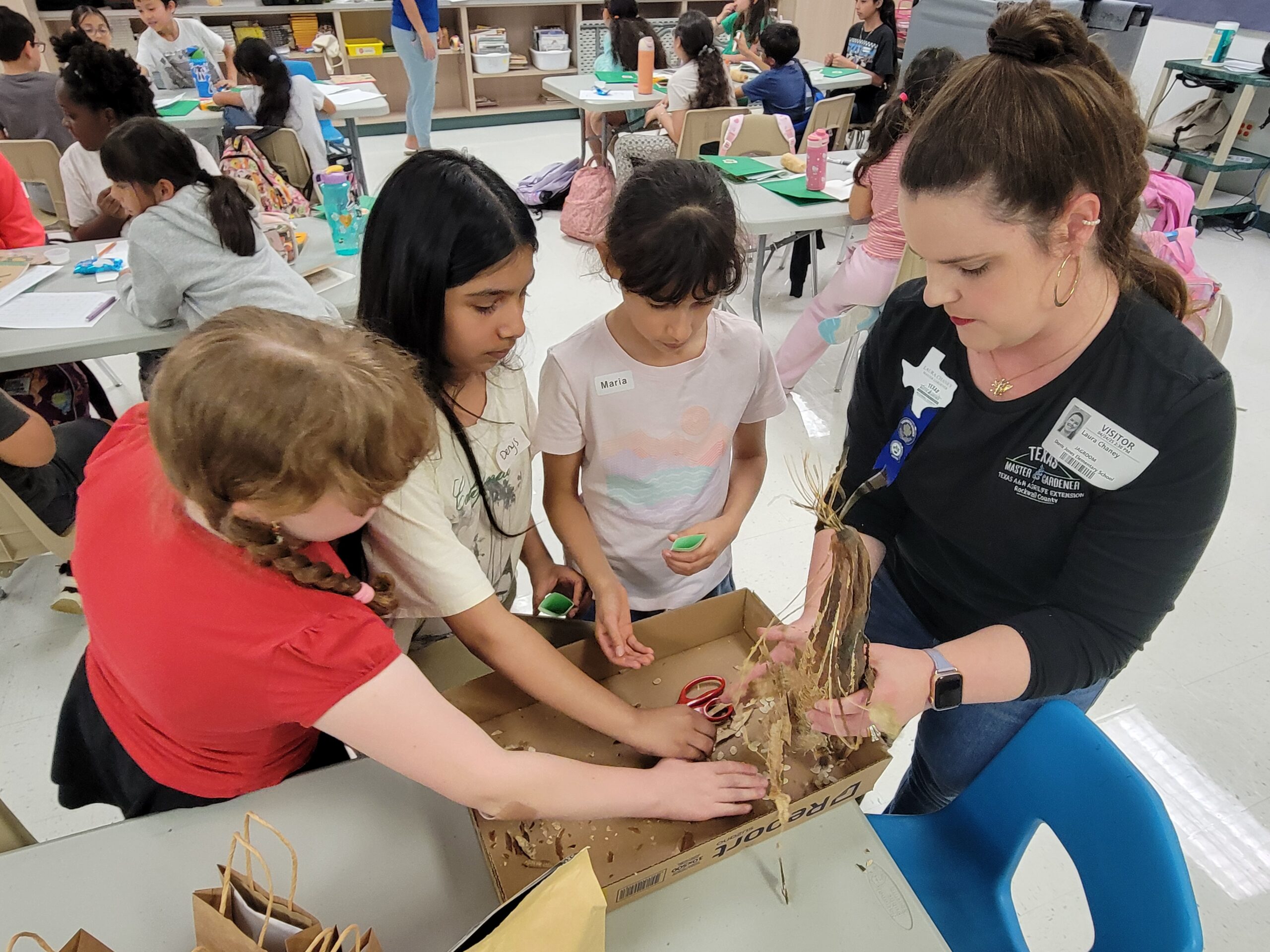 20250424_150050 (1) (1)