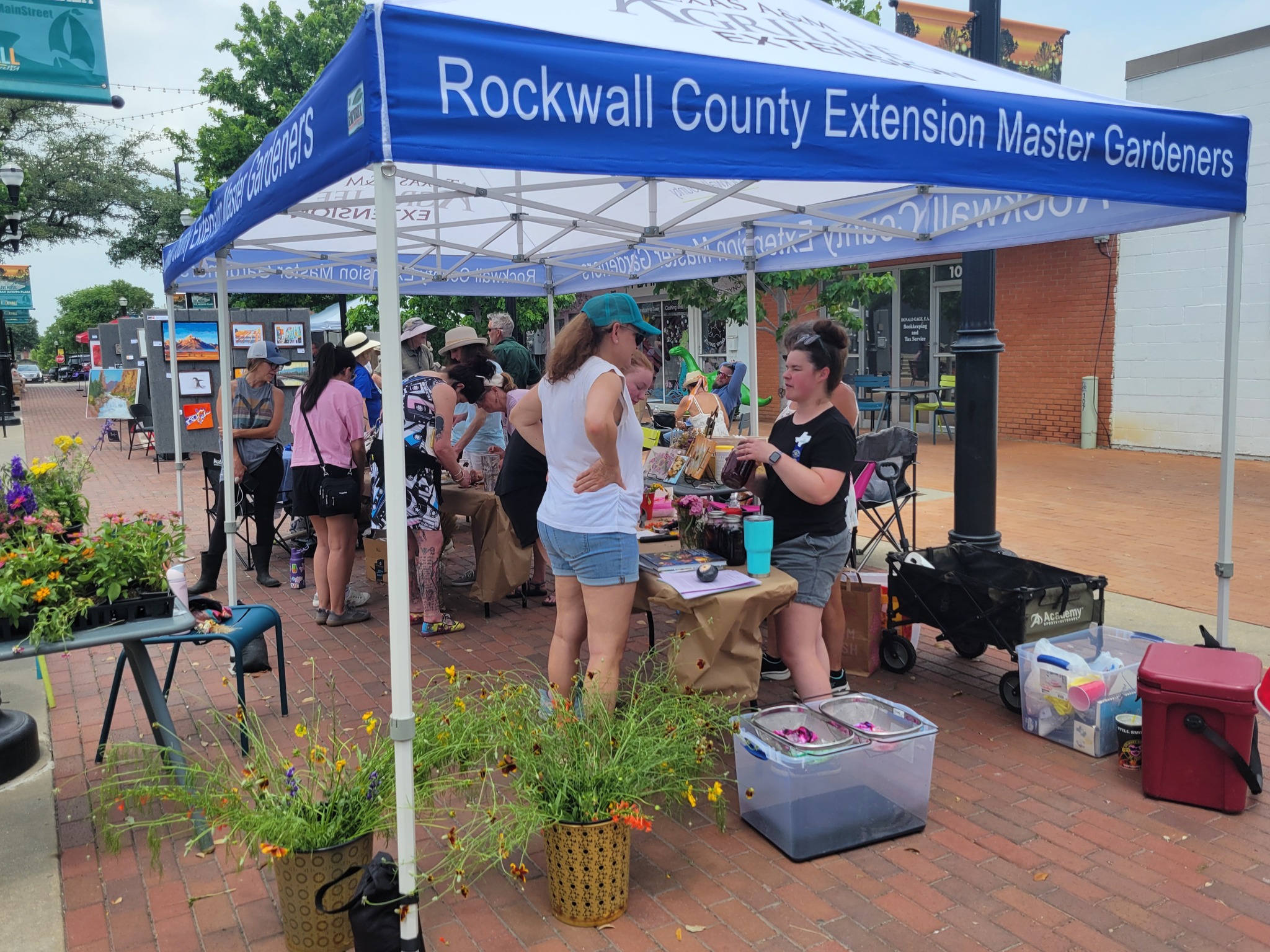 498681349_721250433761460_1344923371043872296_n