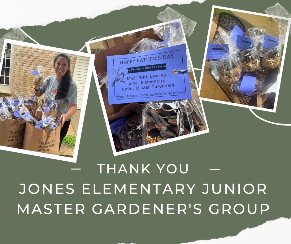 509293373_721199956945410_6310977770387534684_n