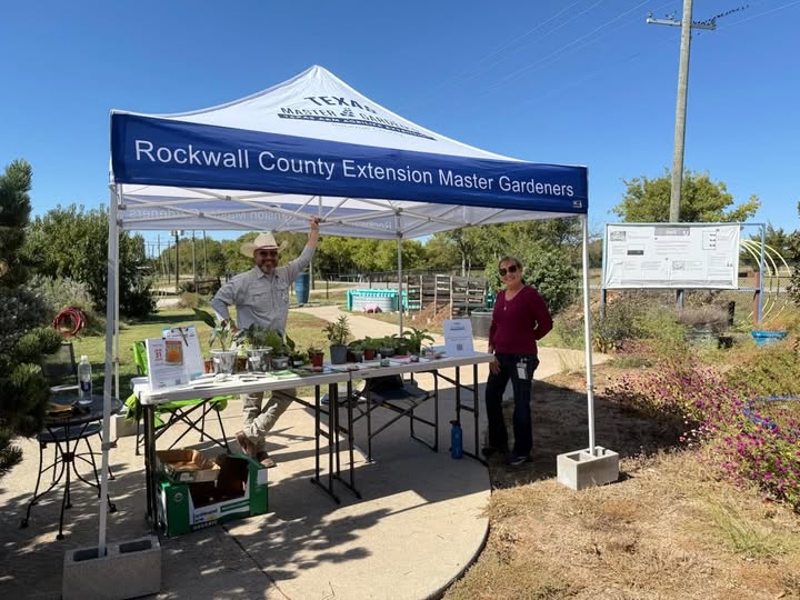 565671468_843831308170038_7670262758815334553_n