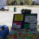 Recycle Fair at Fossil Rim