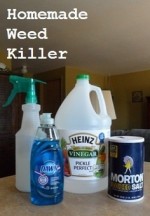 Homemade Weed Killer